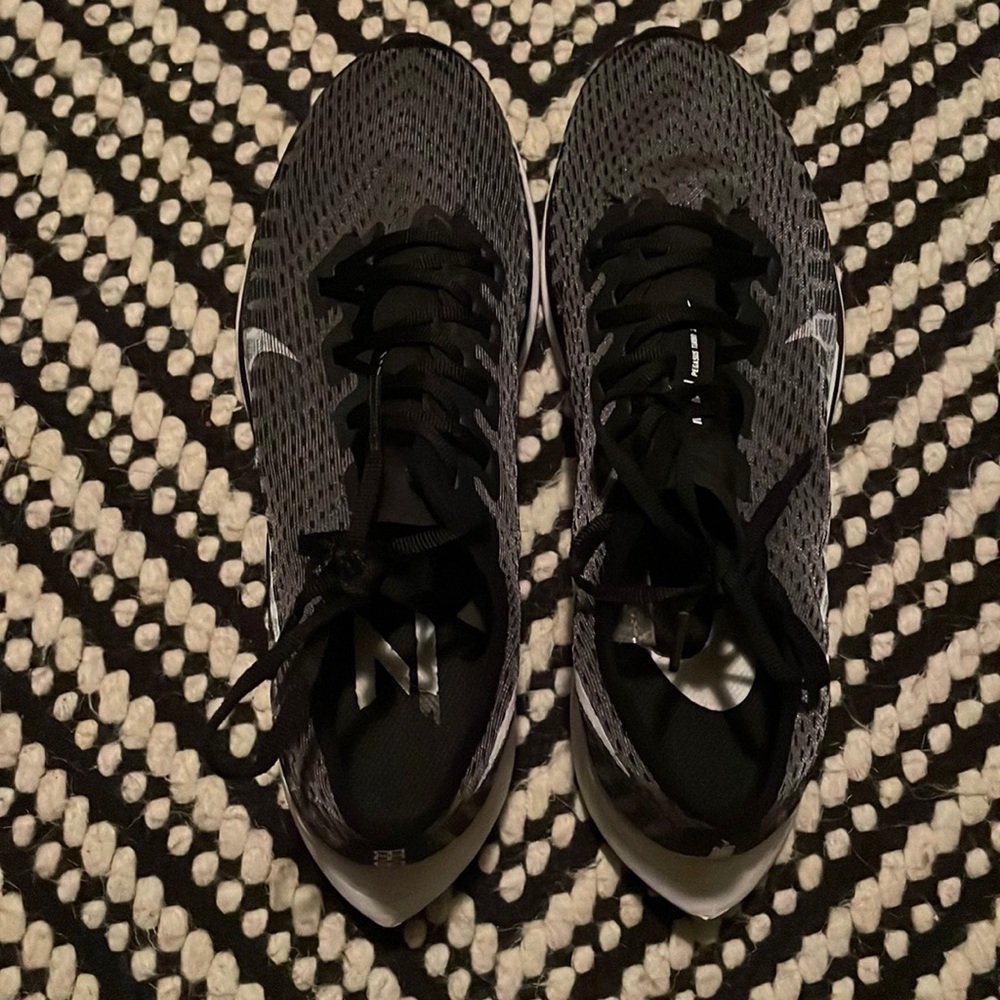 Nike Pegasus turbo 2